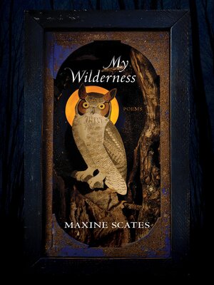 cover image of My Wilderness